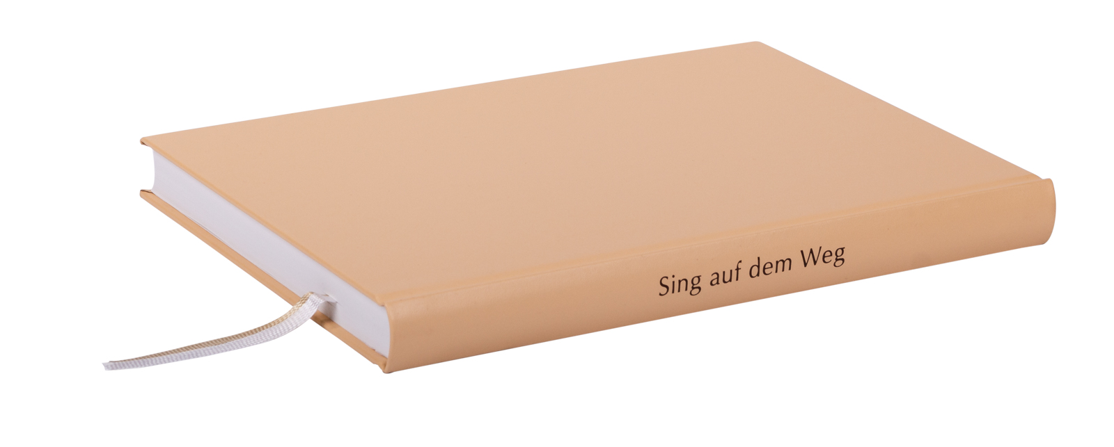 Sing auf dem Weg - Liederbuch