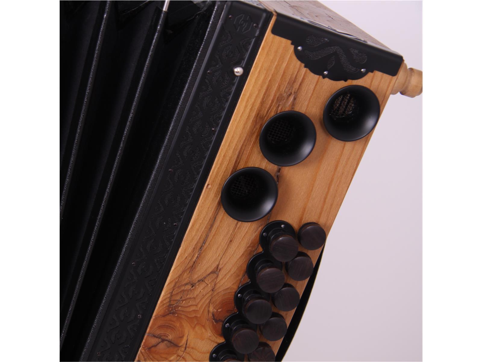 Steirische Harmonika Kärntnerland (Gold) Gipfelstürmer Steirische Harmonika Kärntnerland (Gold) Gipfelstürmer C/F/Bb/Eb