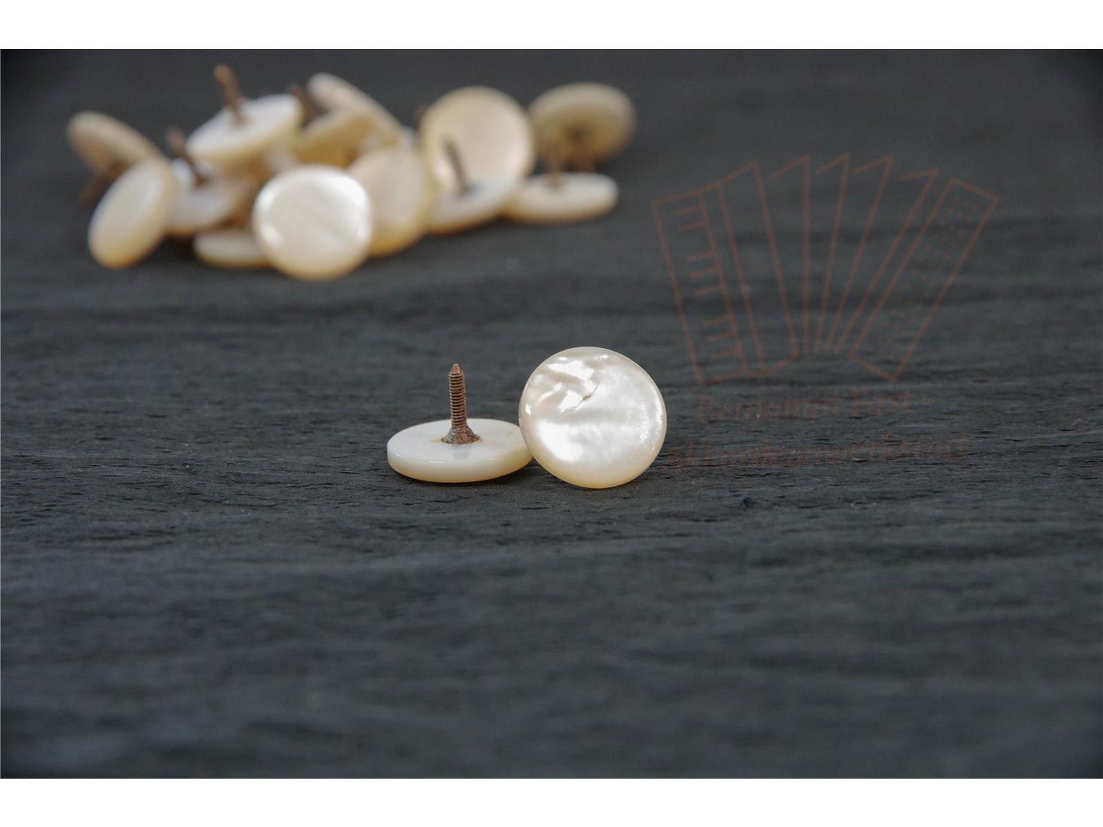 Diskantknopf 15,8 mm Perlmutt gebraucht weiß glatt