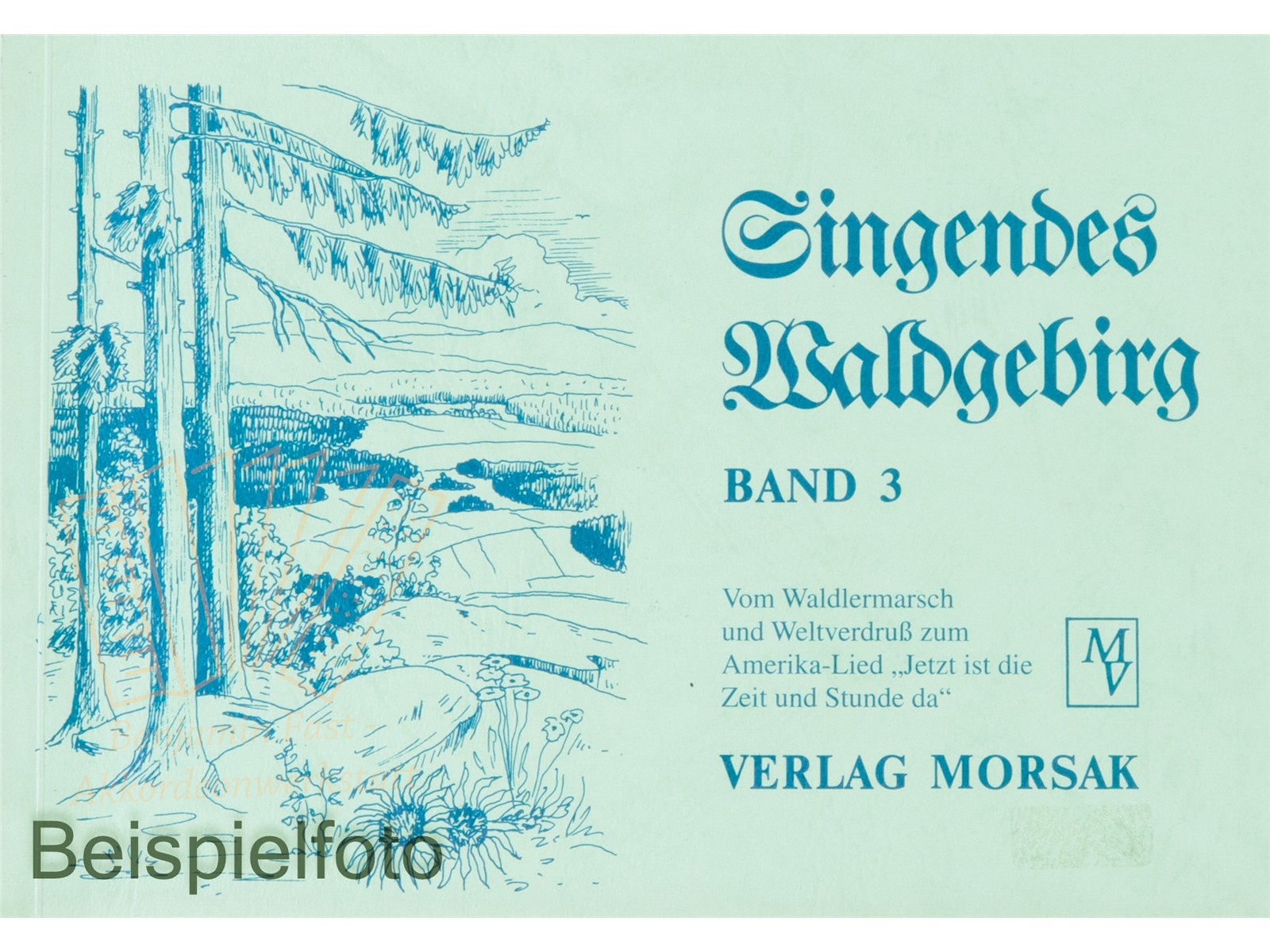 Singendes Waldgebirg 3 - Antiquariat