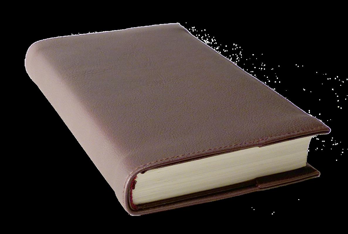 Kunstleder-Hülle für Liederbuch "Singt dem Herrn" (30897), Farbe: brombeer