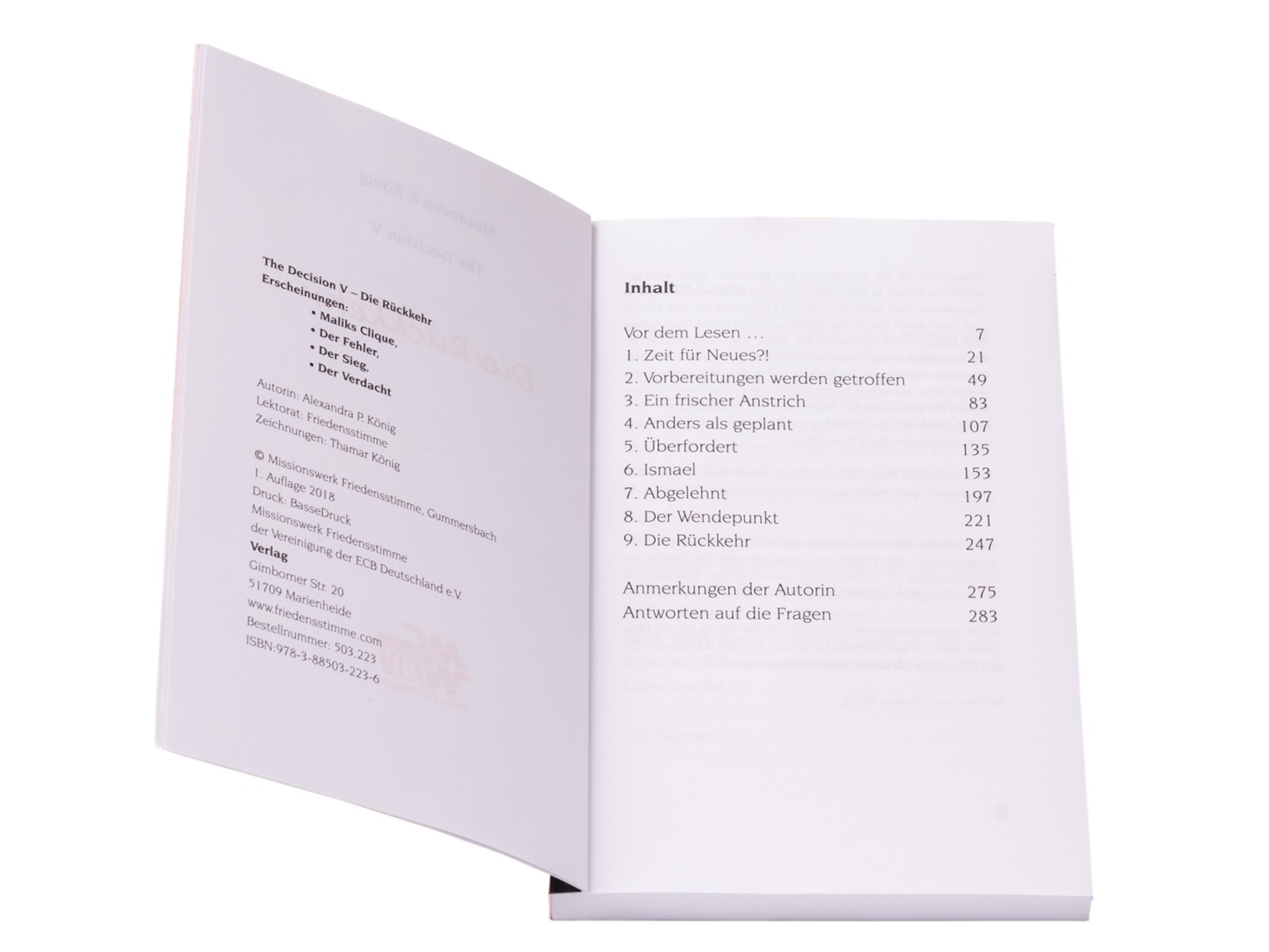 Die Rückkehr Band 5