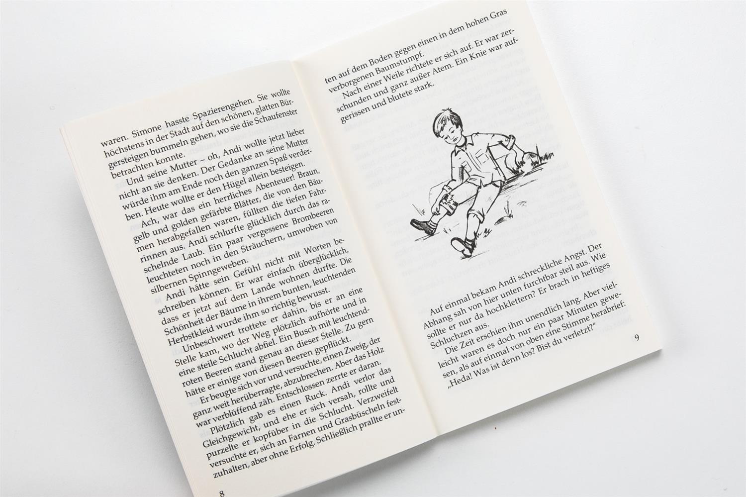 Die unglaubliche Geschichte des Herrn Niemand