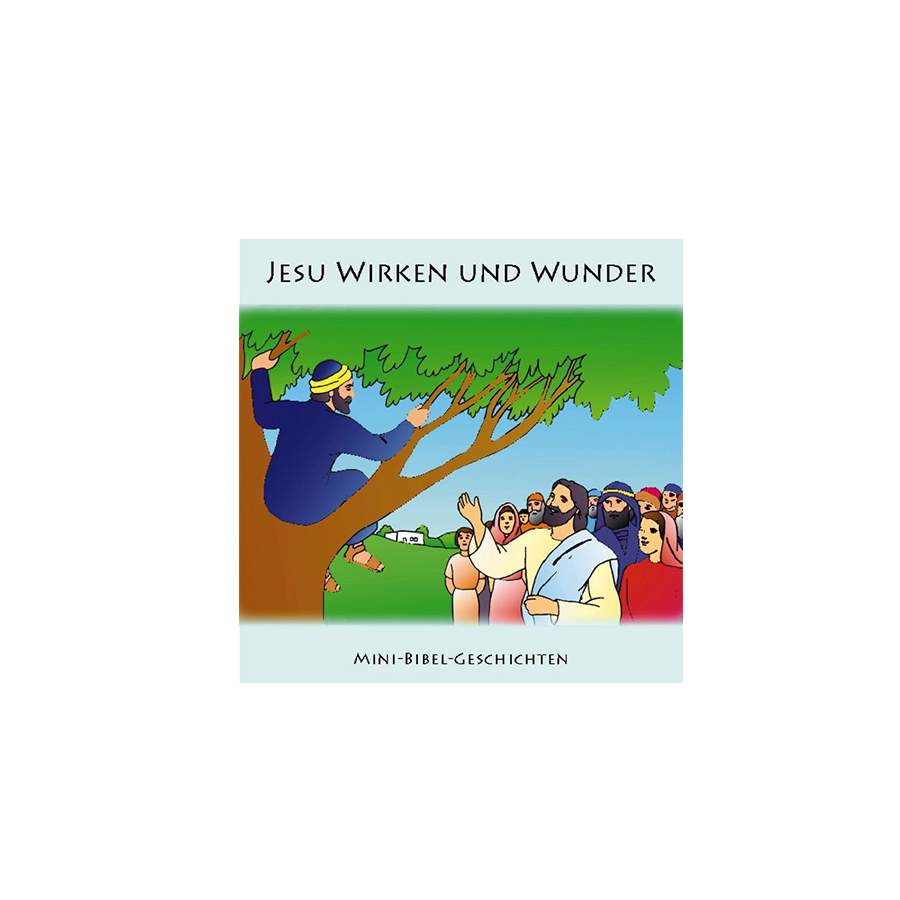 Jesu Wirken und Wunder