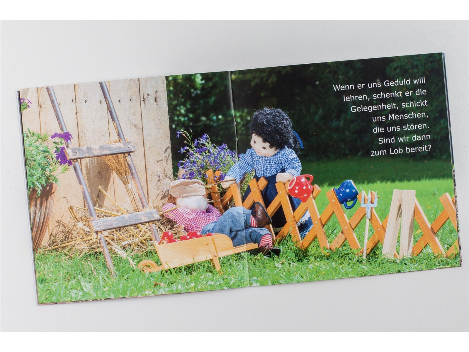 Buchpaket CMV-Midi-Bücher (alle 8 Titel)