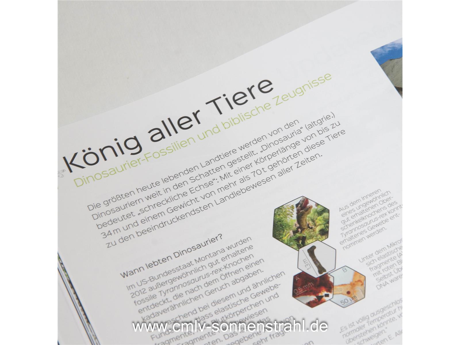 Auf den Spuren des Unsichtbaren